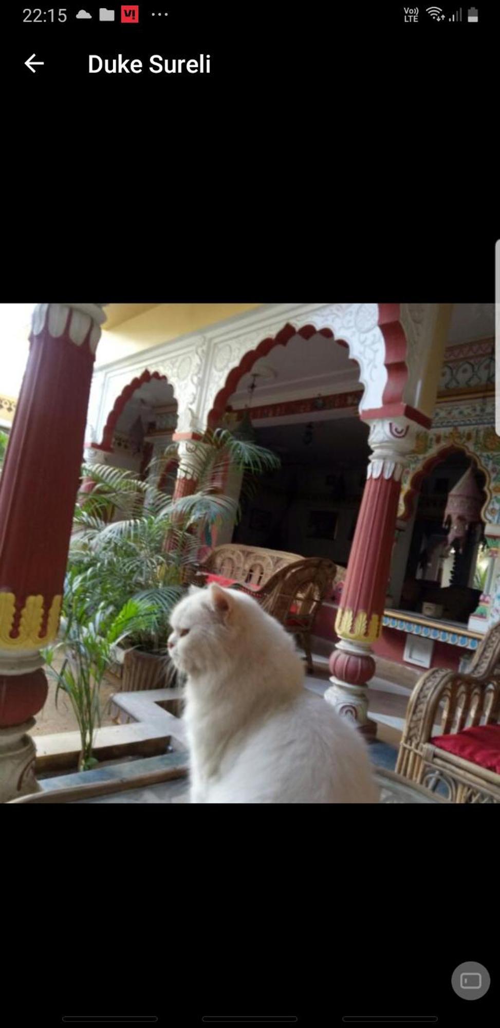 Sureli Haveli Apartamento Jaipur Quarto foto